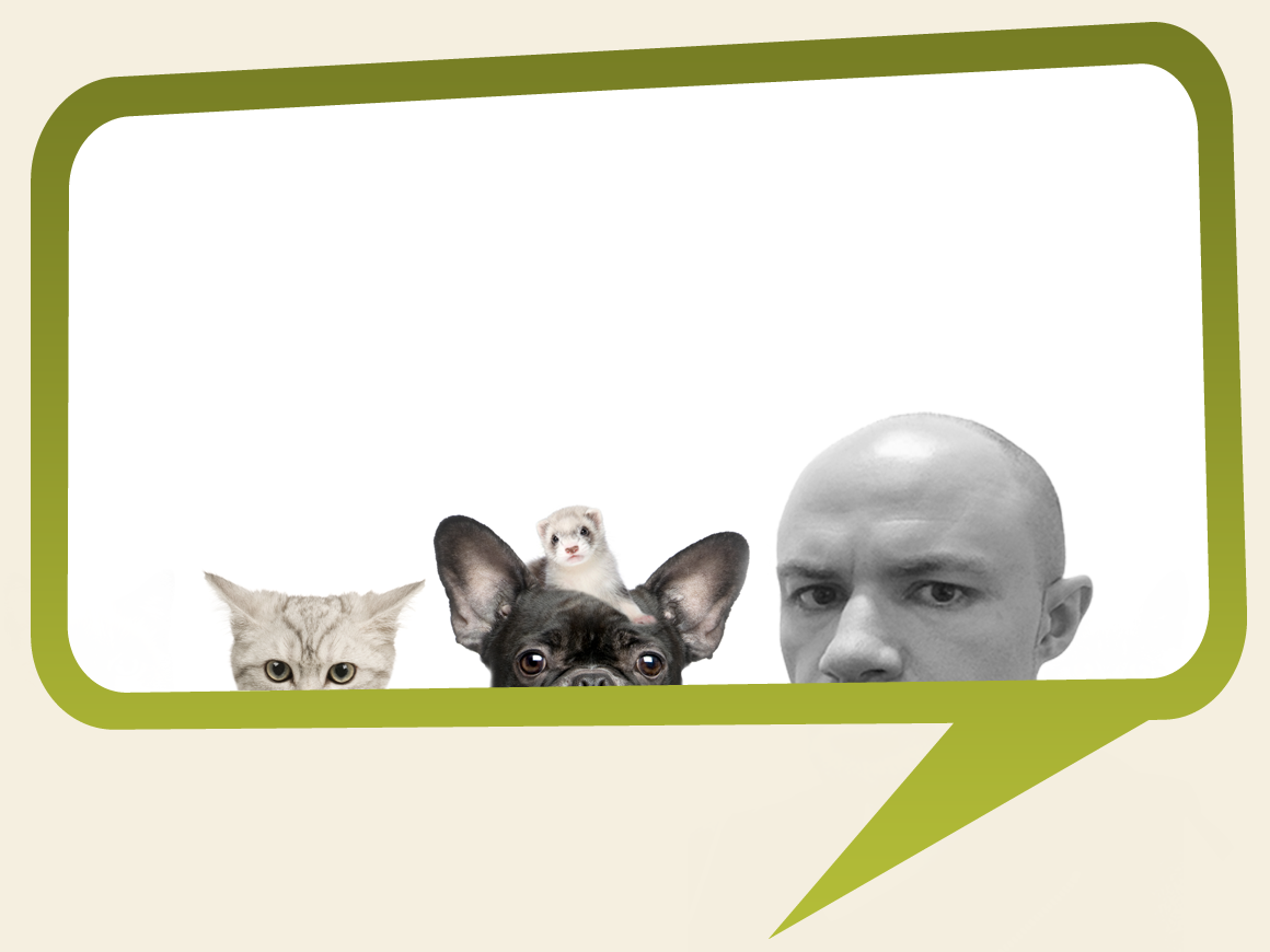 Witam na zupełnie nowej stronie